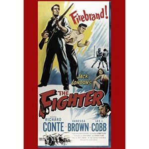 The Fighter  DVD